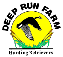 Welcome to Deep Run Farm Boarding and Grooming