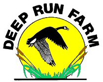 Welcome to Deep Run Farm Canine Health Care.