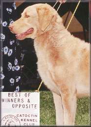 Polar in winners circle