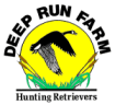 Deep Run Logo